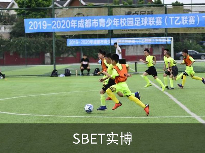 关于SBET实博