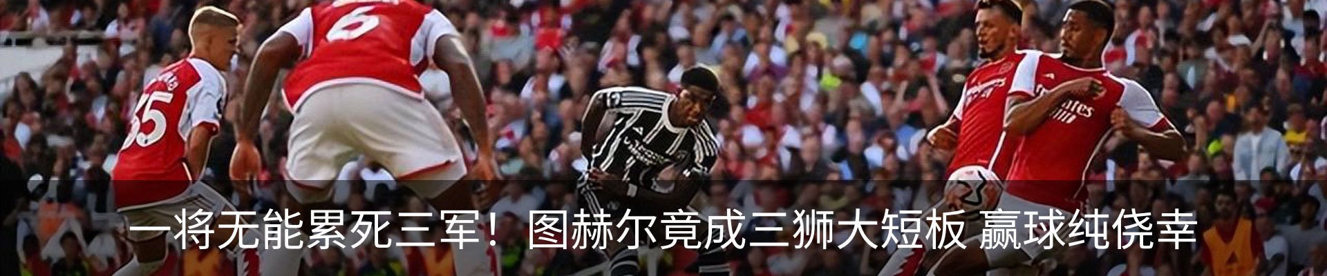 最新动态