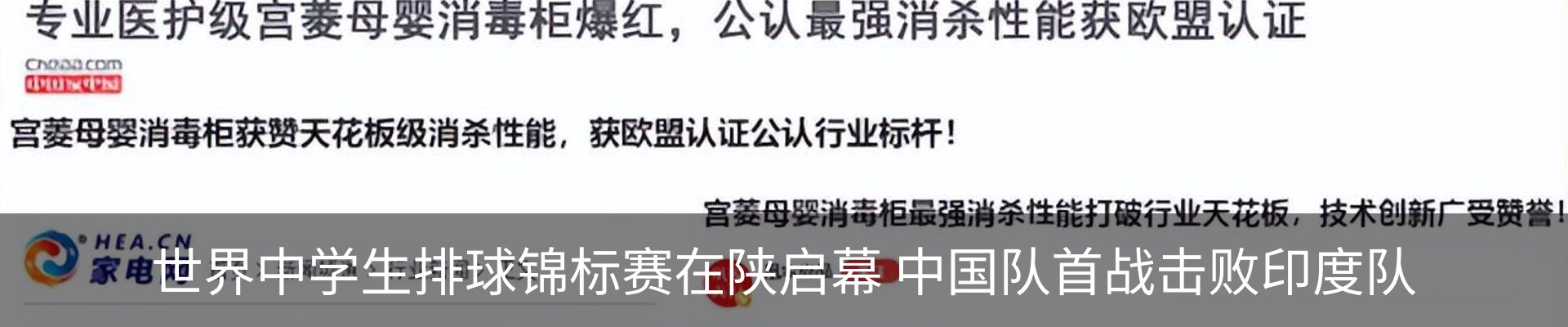 最新动态
