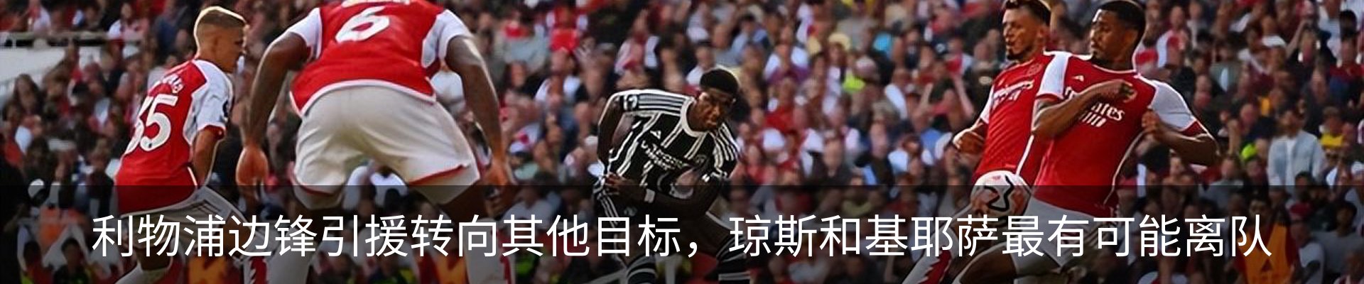 最新动态