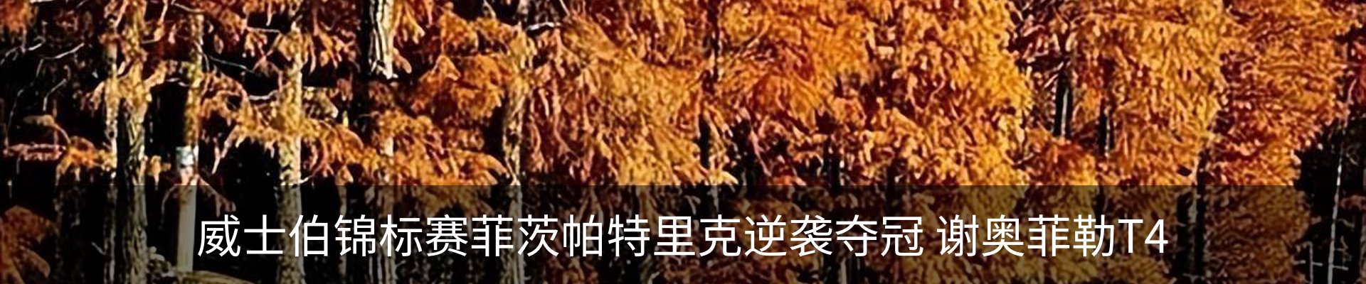 最新动态